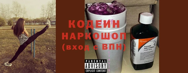 индика Абаза
