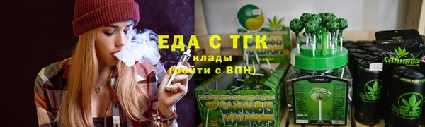 индика Абаза