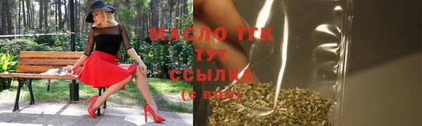 индика Абаза
