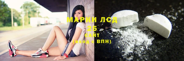 индика Абаза