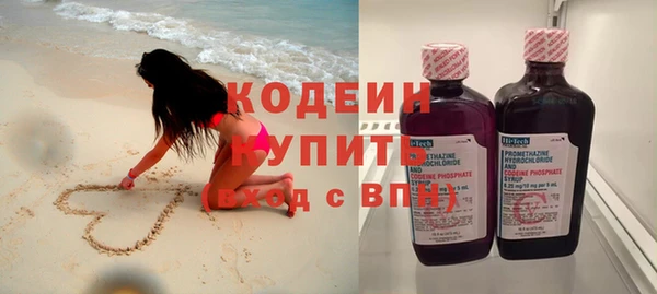 индика Абаза