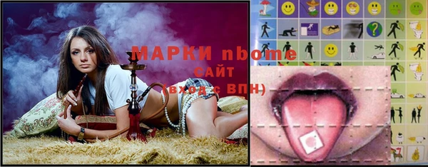индика Абаза