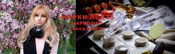 индика Абаза