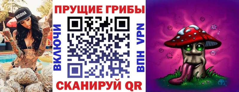Псилоцибиновые грибы GOLDEN TEACHER как найти закладки Пойковский